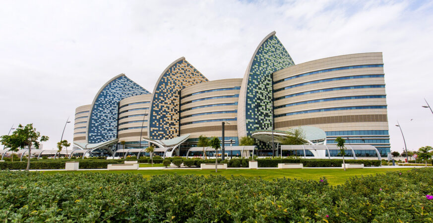 567غف 1744651923