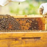 تكريس التمييز والتهويل.. دراسة تكشف انزلاقات الإعلام المغربي في تغطية قضايا الهجرة