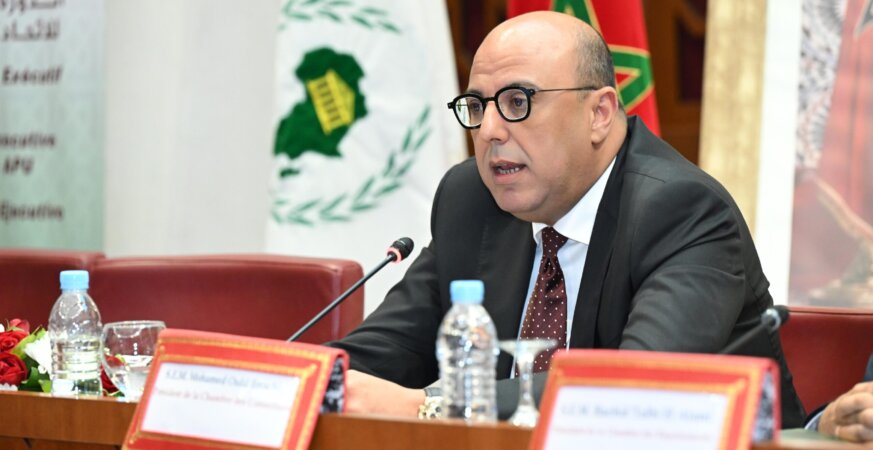 ولد الرشيد: مبادرات الملك رافعة لتكامل إفريقيا وبوابة لتحول استراتيجي في الساحل - العمق المغربي
