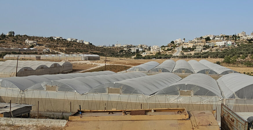 كيف عوّضت الأرض فلسطينيا بعد فقدان عمله خلال الحرب؟