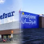 بالفيديو والصور.. تحذيرات من كارثة بيئية لحرائق اللاذقية