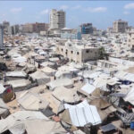 سياسات ترامب تخفض الاستثمارات في الطاقة المتجددة 36%