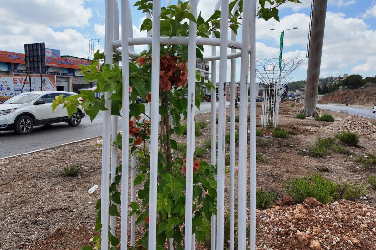 المواطن علي محمد حسين قام بزراعة عشرات أشجار الزينة والورود على الطريق العام وداخل أحياء بلدة كفررمان (نيوز عربي)