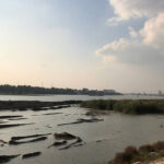 على غرار أبو شباب.. مليشيا جديدة تظهر في غزة بدعم إسرائيلي