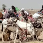 سميرة سعيد تستعيد طفولتها وهند صبري تقابل والدتها.. الذكاء الاصطناعي يحقق أحلام المشاهير