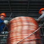 فطر شيتاكيه الآسيوي.. هل يصبح “ذاكرة” حواسيب المستقبل؟