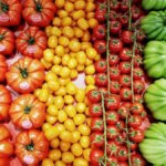 وزيرة الخارجية البريطانية: علينا تحويل وقف إطلاق النار بغزة إلى سلام مستدام