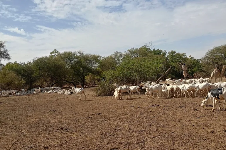 عاد في كل سنة مع انتهاء موسم الأمطار في موريتانيا يهاجر الموريتانيون بمواشيهم إلى داخل الأراضي المالية يقيمون فيها 8 اشهر من السنة لكن تقلص الهجرة خلال الأعوام الأخيرة بسبب الجماعات المسلحة ولكن هذا العام أغلقت مالي رسميا الحدود في وجههم