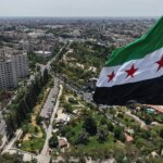 ما حقيقة طائر صلاح الدين الأيوبي الأسود الذي أرعب المصريين؟ | سياسة