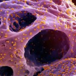 مباشر.. الأهلي ضد الزمالك (0-0) بنهائي كأس السوبر المصري