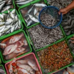 الرضيع سعيد عابدين.. آخر ضحايا البرد القارس في غزة