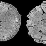 خروج قطار ركاب عن مساره في جنوب المكسيك