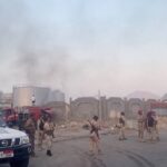 هيرزلر: ويلبيك مهم لبرايتون