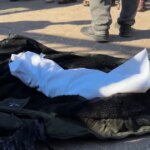 هل تحسن الحمية الإسكندنافية صحة القلب والكبد؟