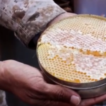 رجال أعمال بولنديون يستكشفون فرص الاستثمار في الداخلة