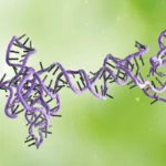 ديون إيران وروسيا «بغيضة» وسنطالب بأضعافها